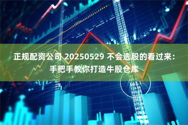 正规配资公司 20250529 不会选股的看过来：手把手教你打造牛股仓库