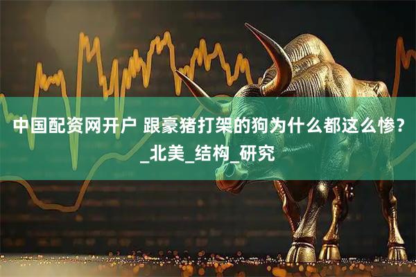 中国配资网开户 跟豪猪打架的狗为什么都这么惨？_北美_结构_研究