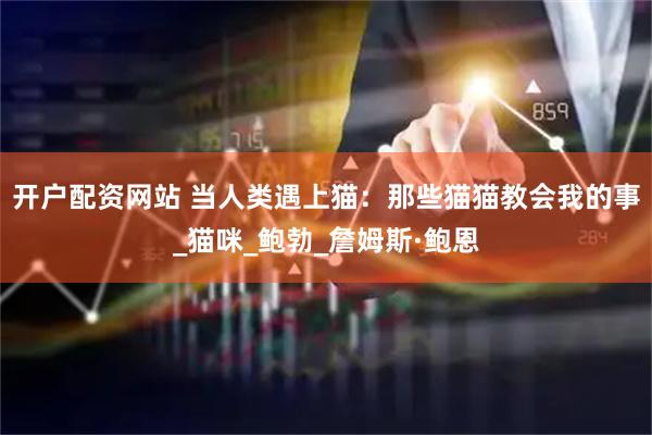 开户配资网站 当人类遇上猫：那些猫猫教会我的事_猫咪_鲍勃_詹姆斯·鲍恩