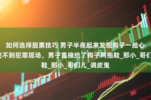 如何选择股票技巧 男子半夜起来发现狗子一脸心虚，奈何找不到犯罪现场，男子直接给了狗子两拖鞋_那小_哥们儿_调皮鬼